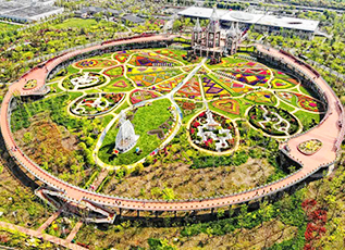 首页| 888集团电子游戏官方网站